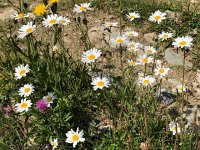 20 July Ref. Arpont to Entre Deux Eaux